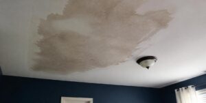 Ceiling Water Damage Repair
